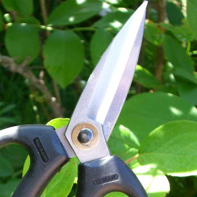 剪定ばさみ プルーマン 大久保型花鋏 OK185 剪定バサミ 日本製  女性用 枝切りバサミ 園芸バサミ 枝切りばさみ 剪定はさみ | ブランド登録なし | 04