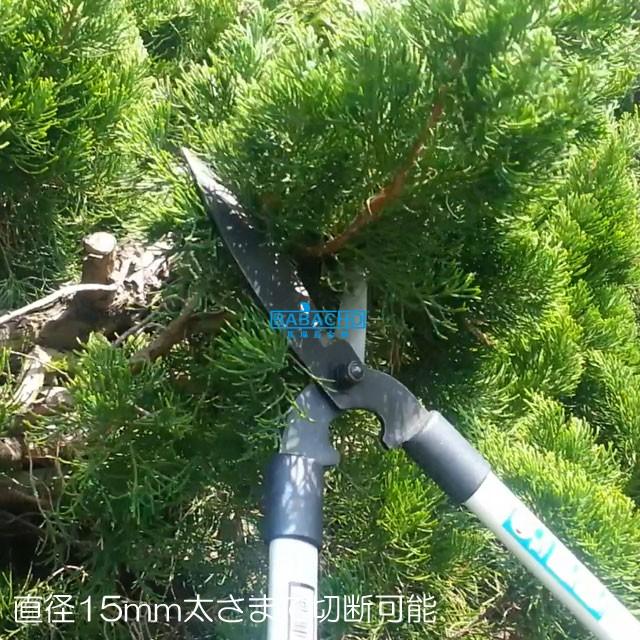 お庭 剪定 ダ円アルミ柄450 強力型刈込鋏 Om 102 刈込み鋏 ガーデニング 庭木 剪定 庭木の お手入れ 庭木 切る 植木 剪定 庭木 剪定 刈り込みハサミ Om102 B Bセレクト 通販 Yahoo ショッピング