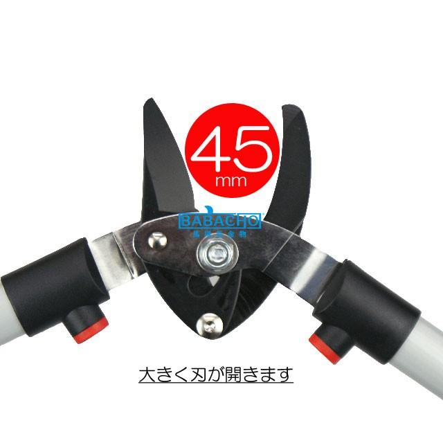 刈り込みばさみ  ラクぎりミニ太枝切バサミ OM-600 太枝切りバサミ 太枝切鋏 太枝切りはさみ 太枝切り 枝切りバサミ太い枝 | ブランド登録なし | 03