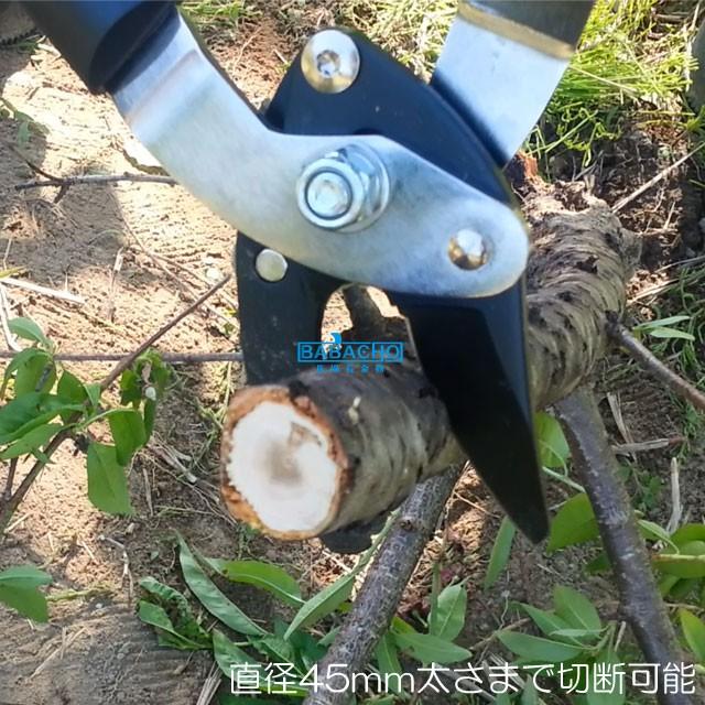 刈り込みばさみ  ラクぎりミニ太枝切バサミ OM-600 太枝切りバサミ 太枝切鋏 太枝切りはさみ 太枝切り 枝切りバサミ太い枝 | ブランド登録なし | 05
