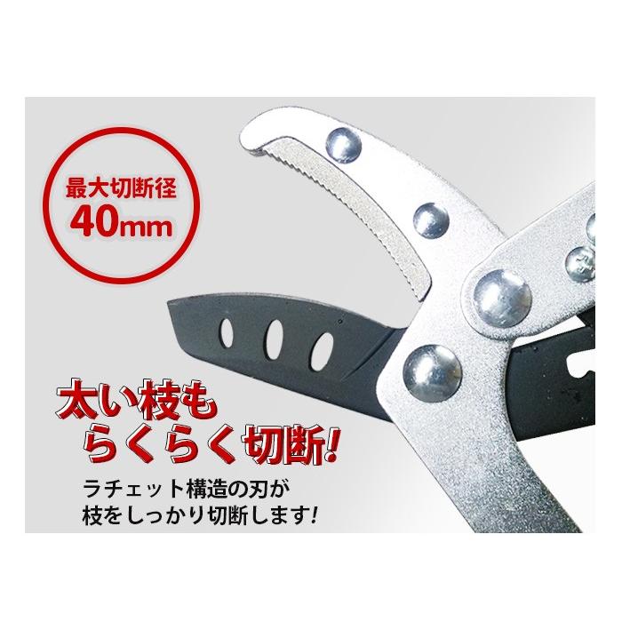 高枝切りバサミ 3段伸縮式高枝切鋏 ラチェット式伸縮太枝切鋏 軽量
