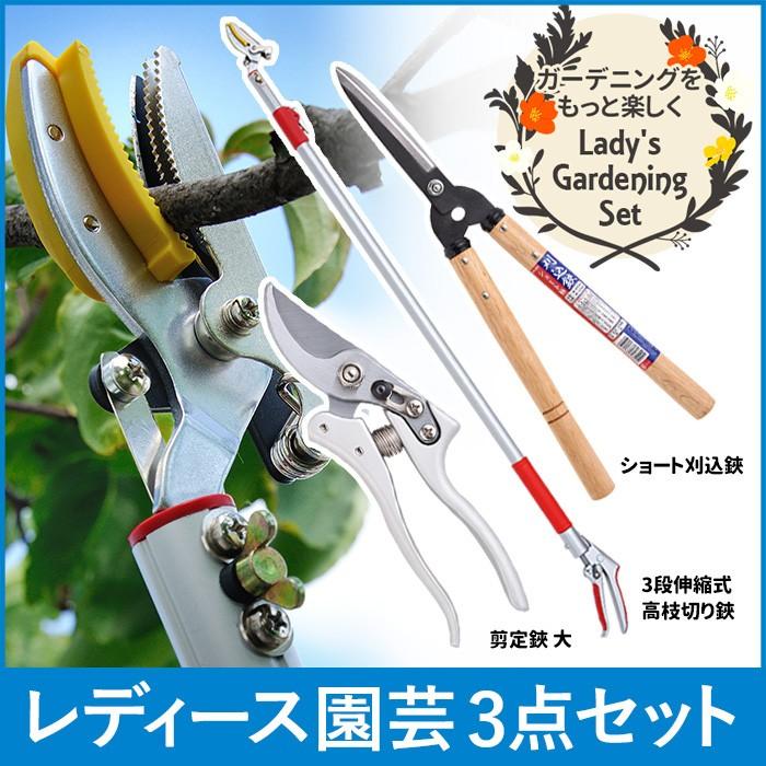 高枝切りバサミ園芸3点セット 3段伸縮式高枝切鋏＆ショート刈込鋏