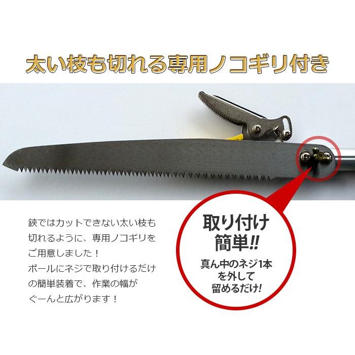 高枝切りバサミ園芸3点セット3段伸縮式高枝切鋏＆ショート刈込鋏&剪定
