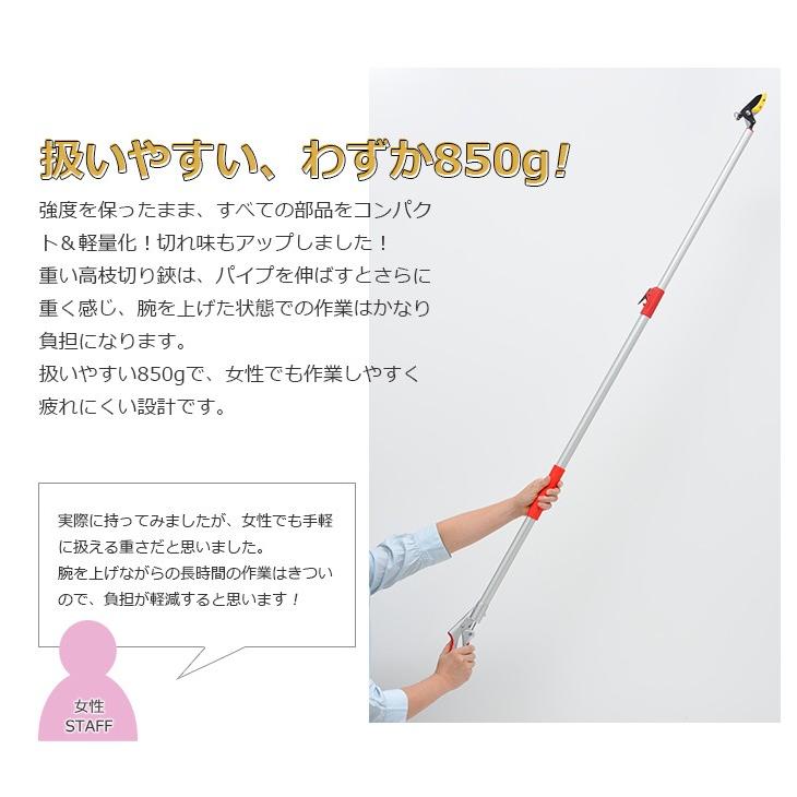 高枝切りバサミ園芸3点セット3段伸縮式高枝切鋏＆ショート刈込鋏&折込