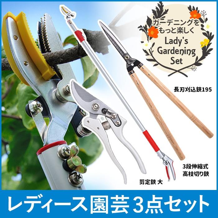 高枝切りバサミ園芸3点セット3段伸縮式高枝切鋏＆長刃刈込鋏＆剪定鋏大