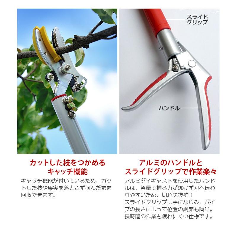 高枝切りバサミ園芸2点セット3段伸縮式高枝切鋏＆剪定鋏大 高枝切り