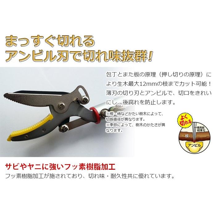 高枝切りバサミ園芸3点セット 3段伸縮式高枝切鋏＆芽切り鋏小&剪定鋏小