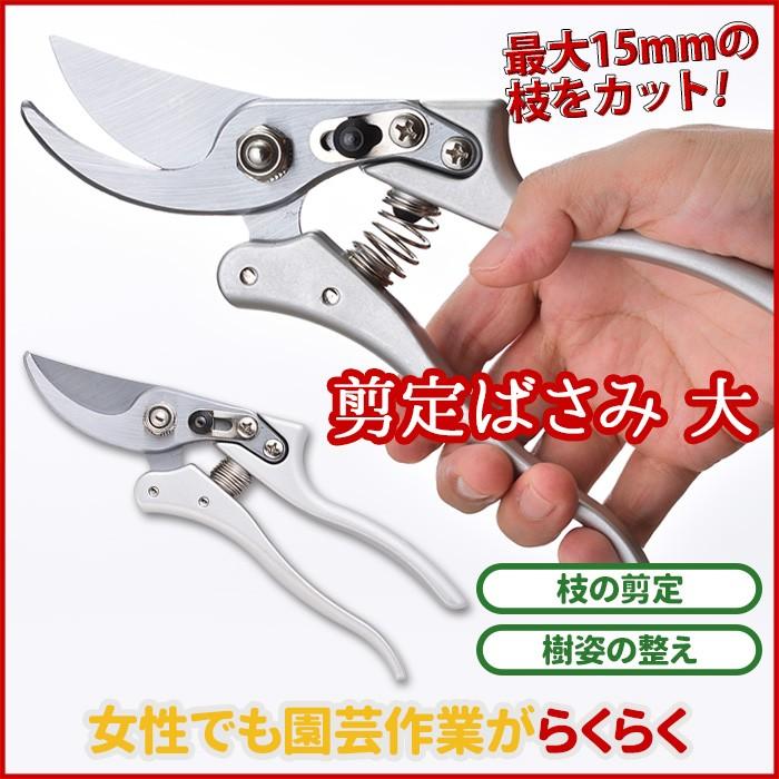 剪定ばさみ 大 牛革ケース付き 剪定バサミ 女性用 枝切りバサミ 園芸バサミ 枝切りばさみ 剪定はさみ | ブランド登録なし | 02