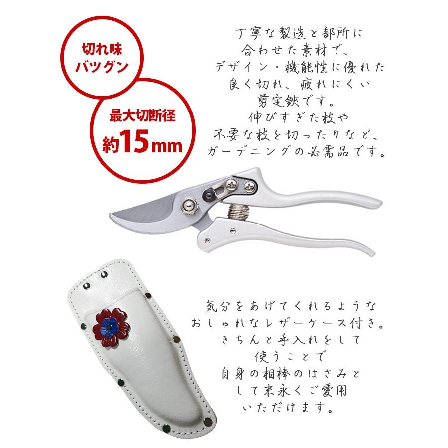 剪定ばさみ 大 牛革ケース付き 剪定バサミ 女性用 枝切りバサミ 園芸バサミ 枝切りばさみ 剪定はさみ | ブランド登録なし | 03