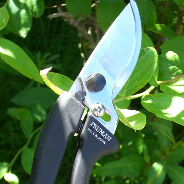 剪定ばさみ プルーマン 195mm SE195 剪定バサミ 日本製  女性用 枝切りバサミ 園芸バサミ 枝切りばさみ 剪定はさみ | ブランド登録なし | 02