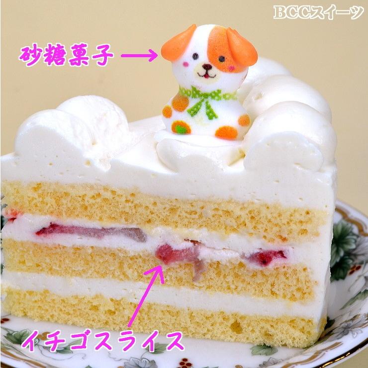 即納 誕生日ケーキ バースデーケーキプレート ｄｘデコ 生クリーム 18cm 6号