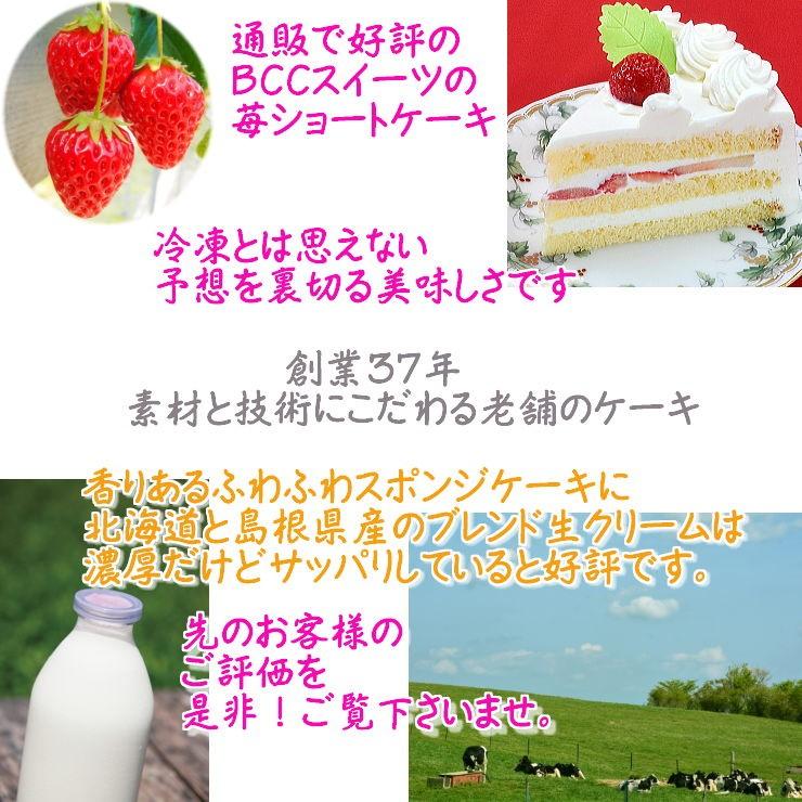 ケーキ 誕生日ケーキ 6号 名入れ 花2個デコ 生クリーム / バースデーケーキ人気  手作り 子供 送料無料 1歳 あすつく 結婚記念日 インスタ映え ギフト｜b-c-c｜03