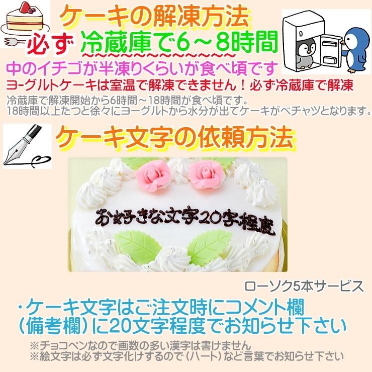 最新作売れ筋が満載 誕生日ケーキ 6号 花2個デコ 大阪ヨーグルトケーキ バースデーケーキ Rmladv Com Br