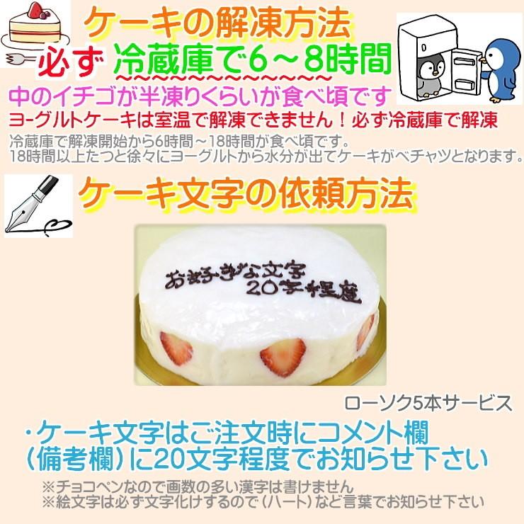 ケーキ 誕生日ケーキ 5号 名入れ 大阪ヨーグルトケーキ / バースデーケーキ 人気  手作り 子供 送料無料 1歳 あすつく 結婚記念日 インスタ映え ギフト｜b-c-c｜03