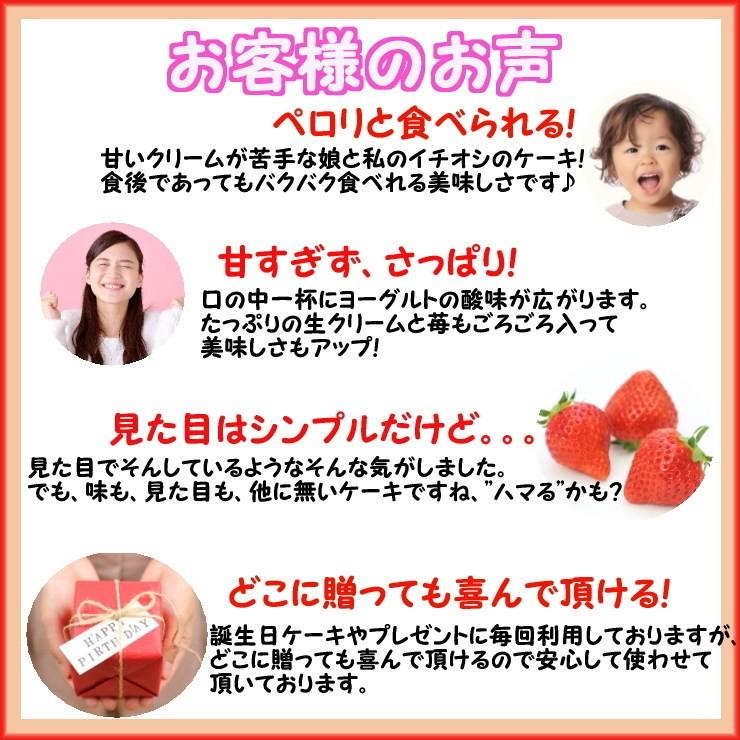 ケーキ TVで紹介されました「ラヴィット！」ノーマル 大阪ヨーグルトケーキ 5号 15cm 【このケーキは名入れできません名入れ希望は他のケーキをお選び下さい】 | BCCスイーツ | 04