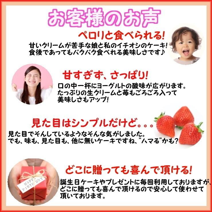 誕生日ケーキ ６号 苺姫と動物4付 大阪ヨーグルトケーキ バースデーケーキ Biithday Cake Hime Yog6 1610 創業39年老舗ケーキ屋 cスイーツ 通販 Yahoo ショッピング