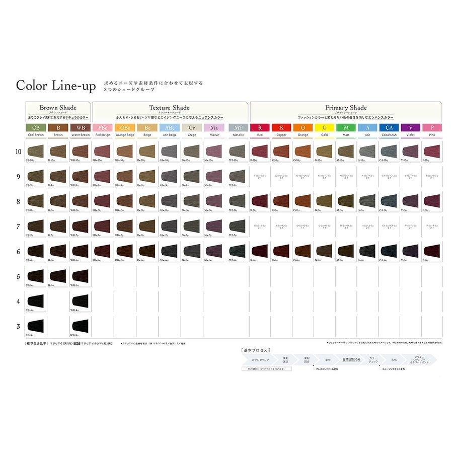 LebeL（ルベル） 白髪染め マテリアG WB (ウォームブラウン系) 120g
