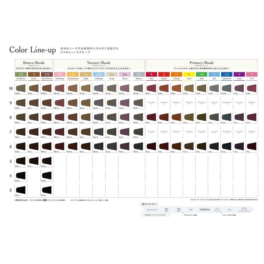 LebeL（ルベル） マテリア G ブラウンシェード B ブラウン 第1剤