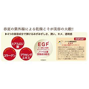 エバーメイト DXに、リニューアル 業務用 EGFマスクDX 30枚入 お試し1