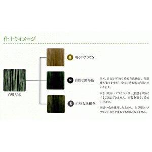 マロン ノンジアミン マインドカラー70g 3本セット同色 BC-K V-2 : B