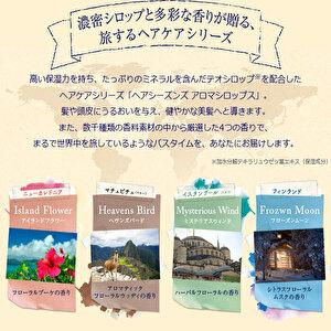 2点セットでお得 デミ ヘアシーズンズ アロマシロップス アイランドフラワー シャンプー2000ml(詰替) トリートメント2000g(詰替) 送料無料 T｜b-cafe｜05