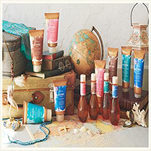 デミ コスメティクス（DEMI COSMETICS） 2点セット デミ ヘア