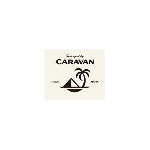 CARAVAN デミ キャラバン ホールドスプレー 170g 送料無料 BC-T V-1