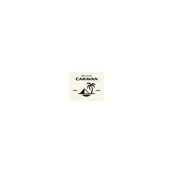 CARAVAN デミコスメティクス デミ キャラバン ヘアトニック 145ml BC-T