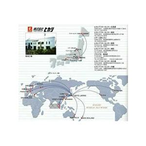 光 ヒカリシザー Koryu JUNIR LEFTY L507 光龍レフティー 6.0インチ 送料無料 BC-D V-1_11