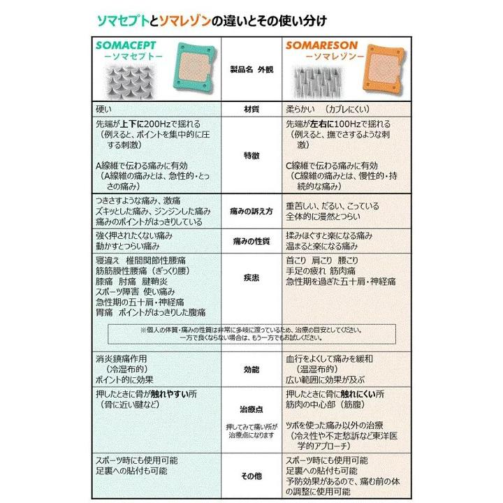 東洋レヂン ソマセプト Lサイズ 100枚入り 一般医療機器 ブルー 硬め