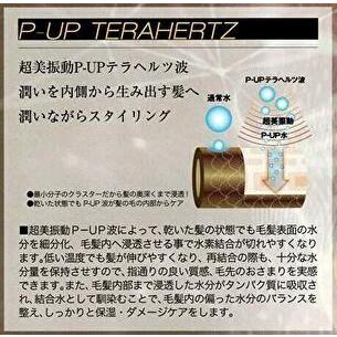新製品 エクステラ ピーアップ テラヘルツ ストレート2G アイロン 新製品 エクステラ ピーアップ テラヘルツ ストレート2G アイロン