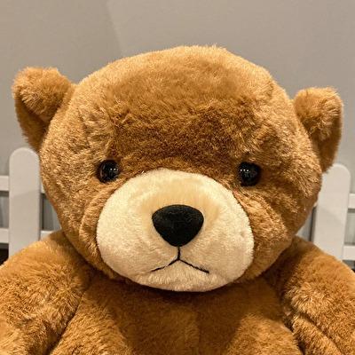 タイプ選択/テイクオフ ベアフレール Lサイズ ヒグマ / ツキノワグマ