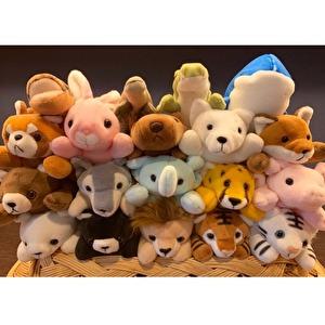 ぬいぐるみ テイクオフ ぽけぷに ホワイトタイガー 動物 宅配便送料