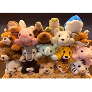 ぬいぐるみ テイクオフ ぽけぷに オオカミ 動物 宅配便送料無料 BC-D V