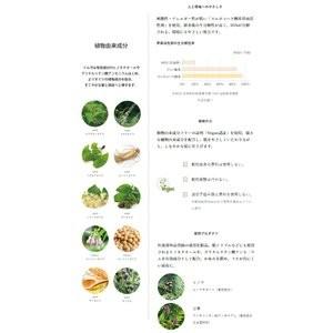 ナンバースリー イルガ薬用トリートメントＳ3000g 詰替え 送料無料 医薬部外品 BC-T｜b-cafe｜02