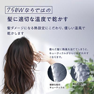 AIVIL（アイビル） プロドライヤー 750 (SD-24J01) ホワイト AIVIL