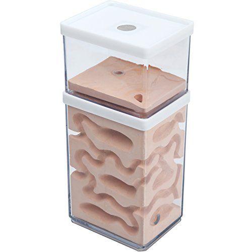 激安単価で Energypower アリ飼育キット 石膏製巣箱 2層式 土やゲルを使用しないので腐らず清潔 お子様でも安心の観察キット 最初から巣ができ 現金特価 Www Muslimaidusa Org