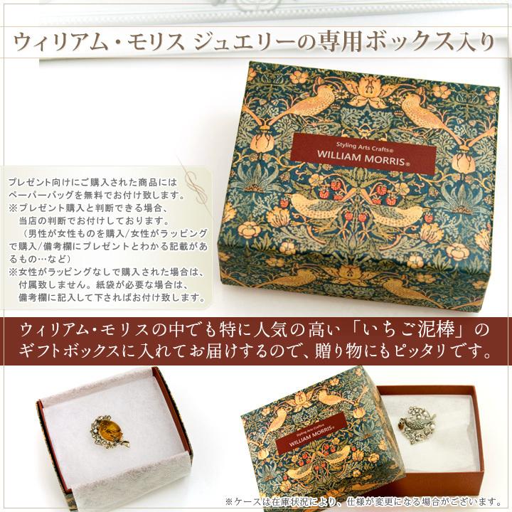 碌山 ウィリアム モリス いちご泥棒 ガーネット ペンダント ルーペ おしゃれ かわいい ネックレス チェーン付 拡大鏡 誕生日 プレゼント 女性 還暦祝い お祝いの画像