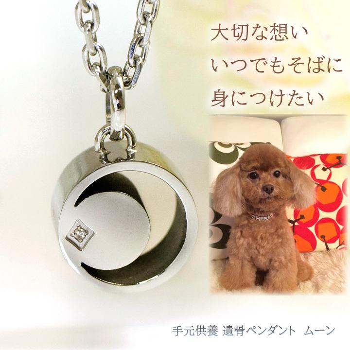 遺骨ペンダント ネックレス ステンレス ムーン リング型 遺骨ペンダント ネックレス ステンレス ムーン リング型