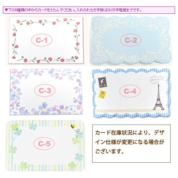 あい様✶⋆確認専用ページ メッセージカード コメントカード メッセージカード【単品販売不可】 : 誕生日プレゼント専門店 Ciao