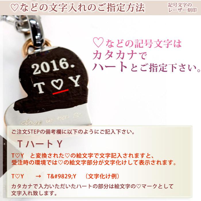 ペアブレスレット サージカル ステンレス closetome ペアアンクレット ペア 2本 セット価格 刻印無料 プレート表面に10文字 1行まで 文字入れ 名入れ | close to me | 10