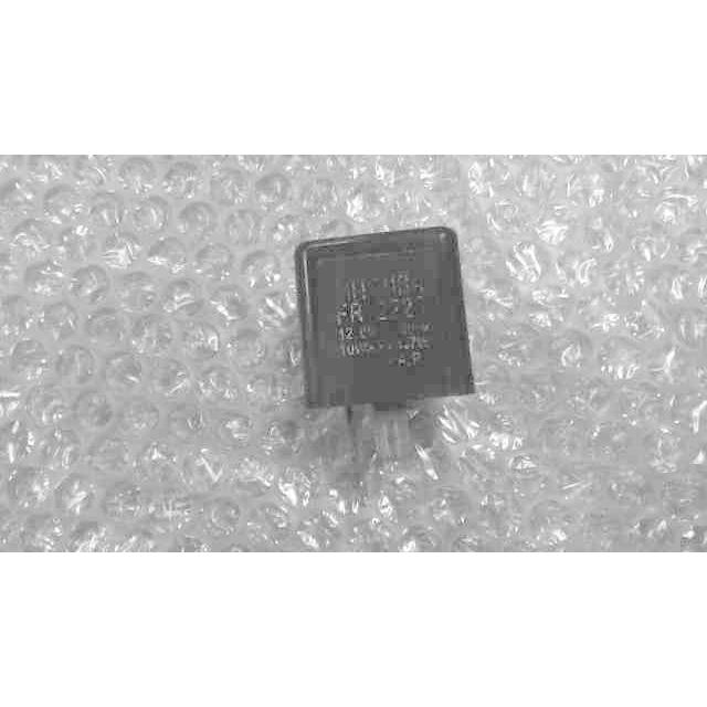 リトルカブ outstanding_af-ws-72