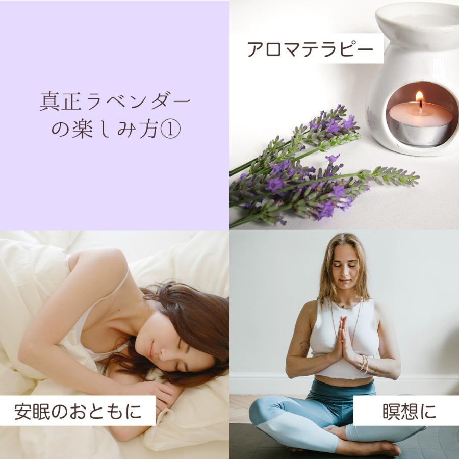 真正ラベンダー オイル 30ml ラベンダー 精油 エッセンシャルオイル