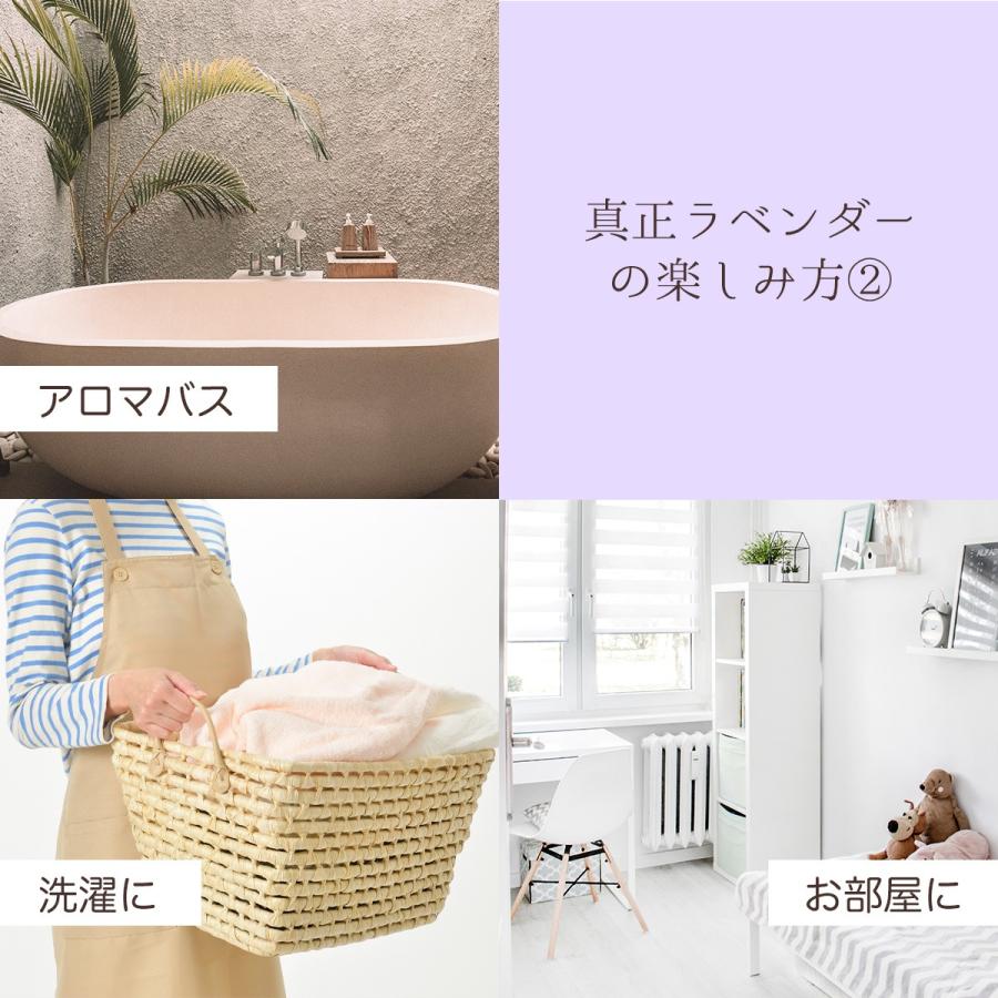 真正ラベンダーブルガリアン　エッセンシャルオイル　安眠　リラックス lavender10_1.jpg