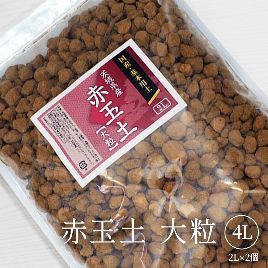 国産 硬質 赤玉土 大粒 4l 2l 2個 基本土 ブレンド用に 観葉植物 花木 草木など Akadama Big 2l 2 雑貨イズム 通販 Yahoo ショッピング