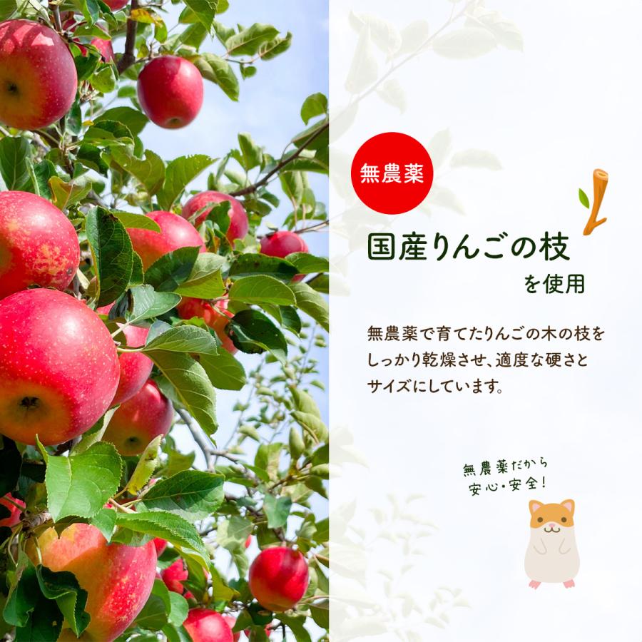 無農薬 りんごの枝 50g かじり木 リンゴ 木 小動物 ペット ハムスター