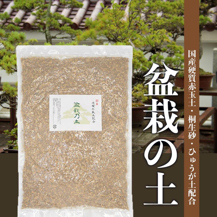 盆栽の土 極小粒 盆栽 土 硬質 赤玉土 2L ミニ盆栽 初心者 土 盆栽の土 極小粒 盆栽 土 硬質 赤玉土 2L ミニ盆栽 初心者 土
