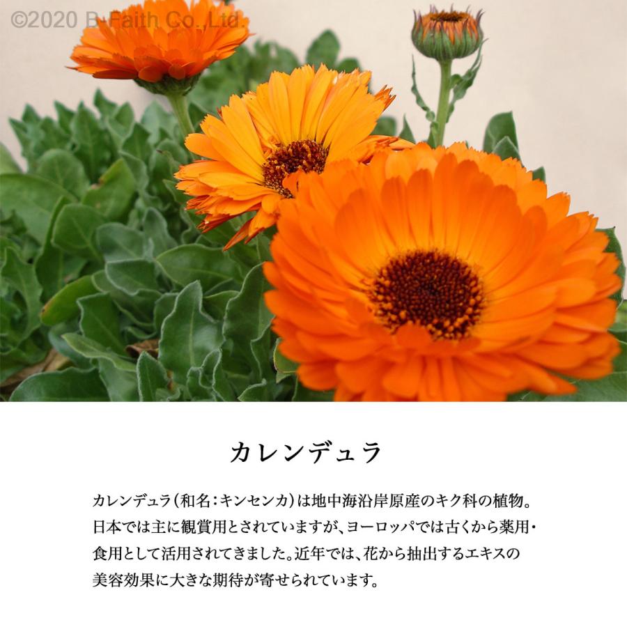 日本製 カレンデュラ マッサージオイル 100ml ×2本セット 無香料 100