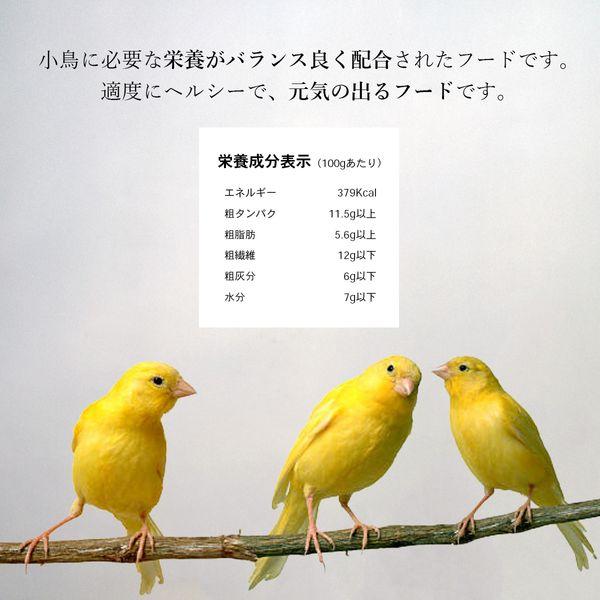 カナリアシード 1kg カナリーシード カナリヤシード インコ 小鳥 文鳥