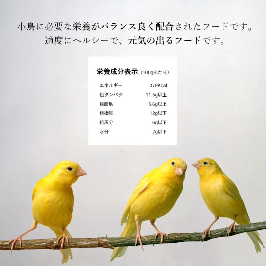 カナリア専用エサ 18袋セット カナリアシード 100g カナリーシード インコ 小鳥 ダイエット フード